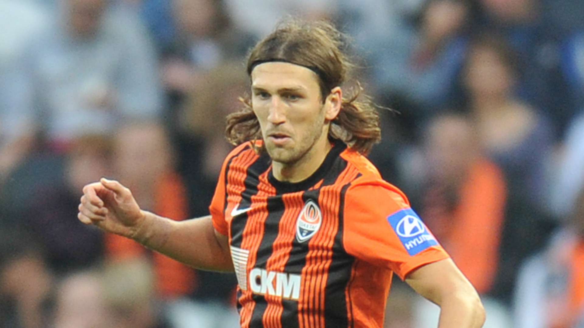 强大的韧劲 强大的韧劲