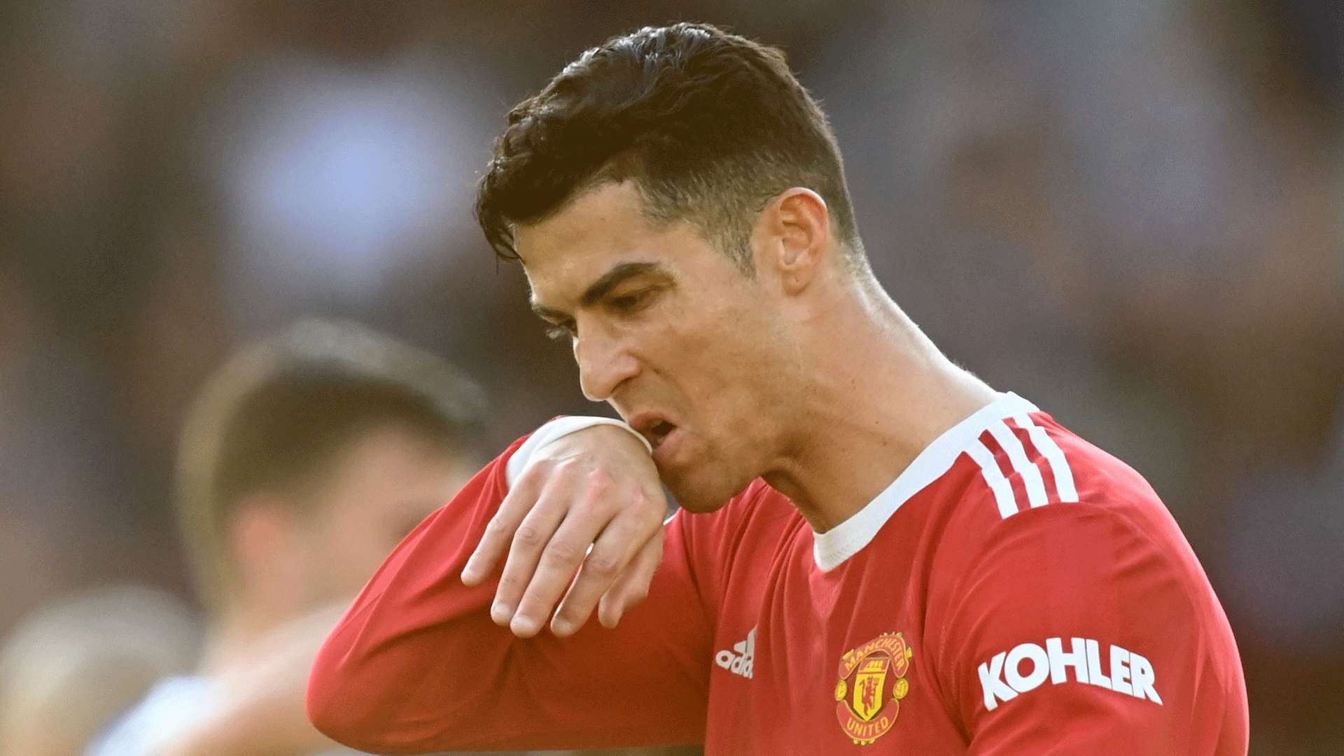 全面解析範 全面解析範